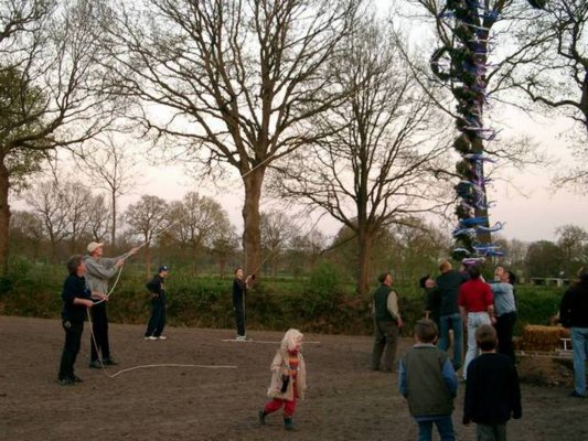 maibaum_2004__8_.jpg