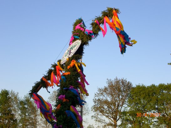 maibaum_2007__5_.jpg