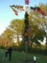 maibaum_2007__19_.jpg