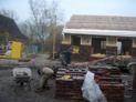 vereinsheim_dez.2005__53_.jpg